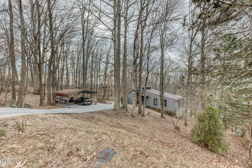 Photo #30: 704 Stuffle Street