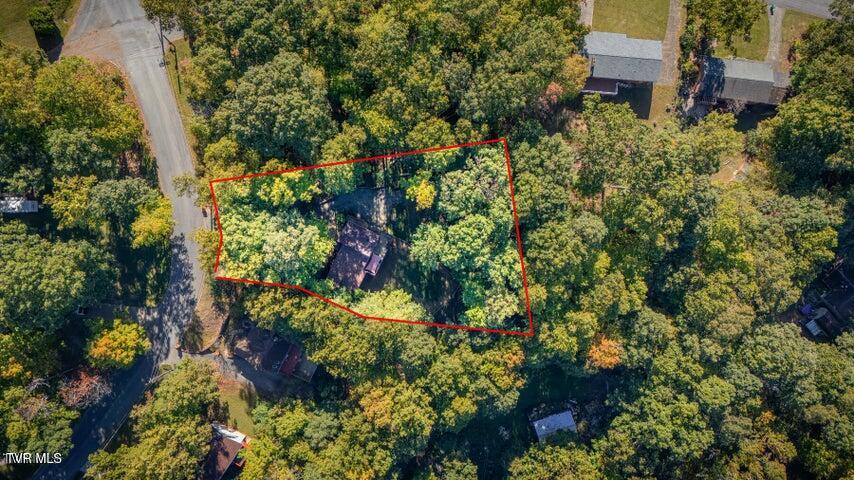 Photo #45: 704 Stuffle Street