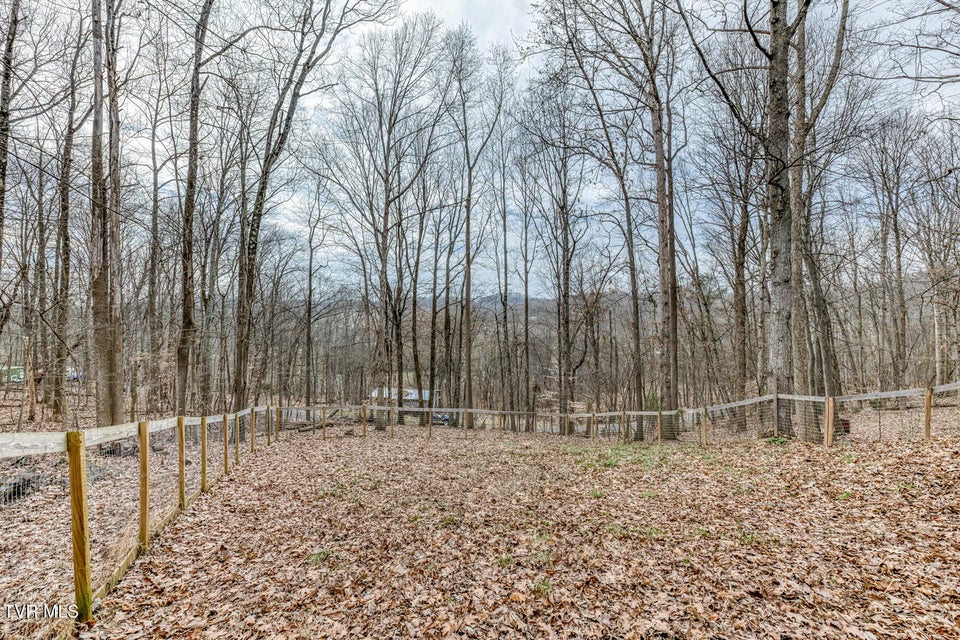 Photo #36: 704 Stuffle Street