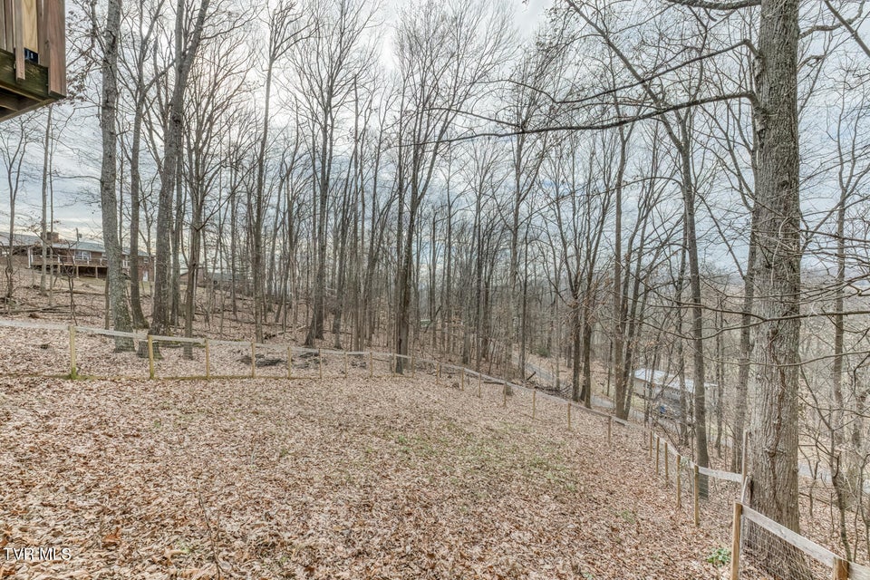 Photo #38: 704 Stuffle Street