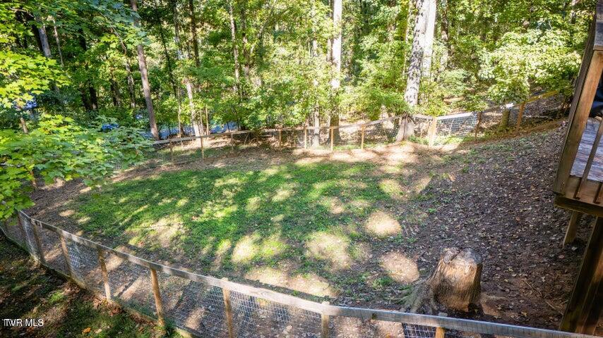 Photo #44: 704 Stuffle Street