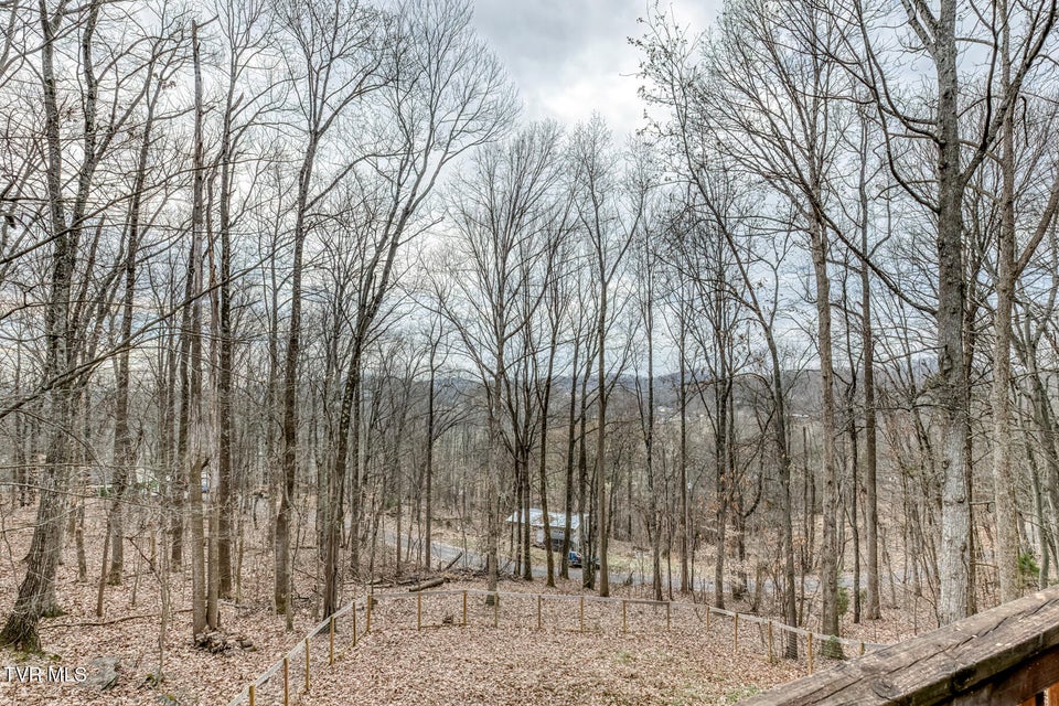 Photo #39: 704 Stuffle Street