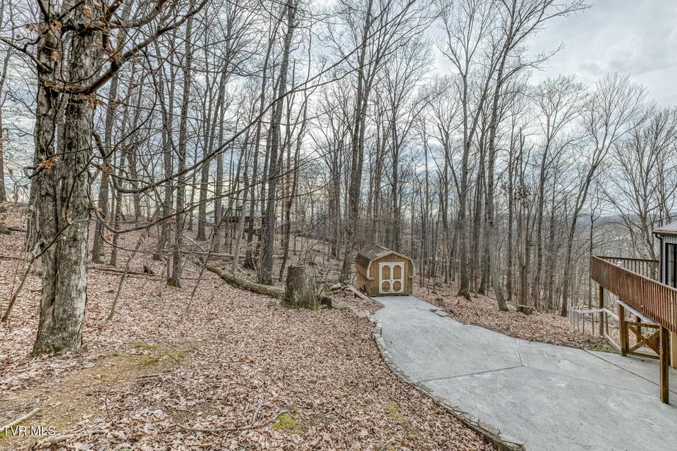 Photo #41: 704 Stuffle Street