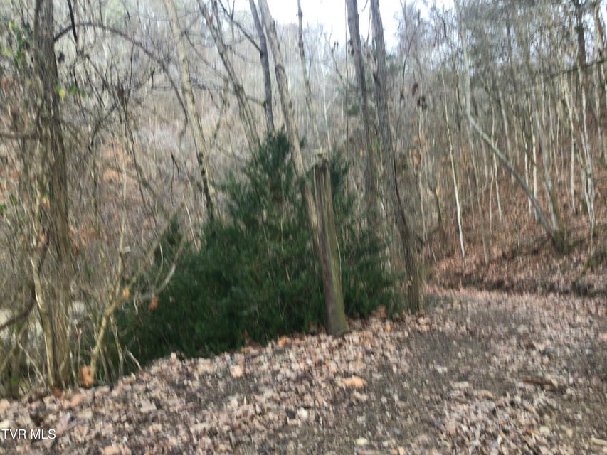 Photo #18: 1133 Industrial Road