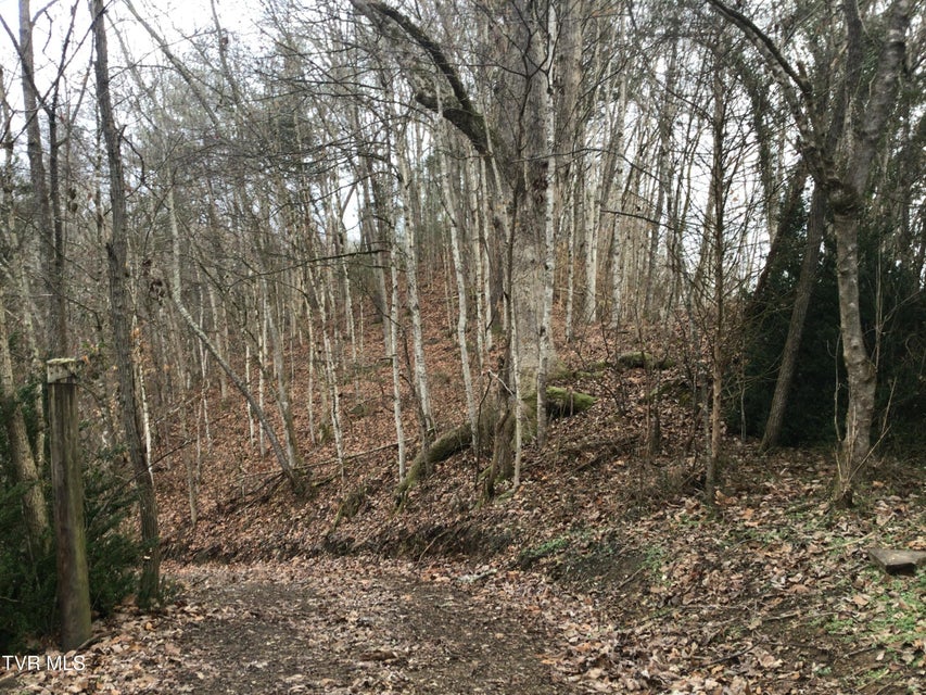 Photo #19: 1133 Industrial Road