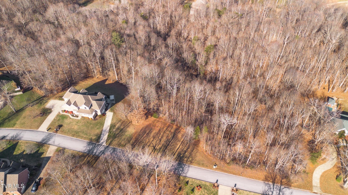 Photo #8: Tbd Allison Timbers Road