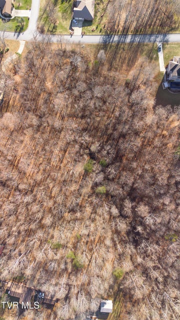 Photo #16: Tbd Allison Timbers Road