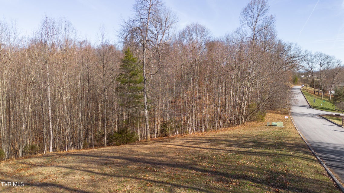 Photo #5: Tbd Allison Timbers Road