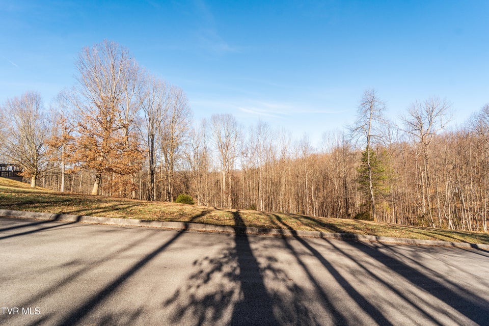 Photo #7: Tbd Allison Timbers Road