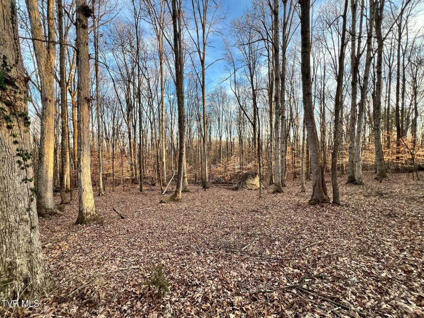 Photo #33: 1700 Brentwood Drive