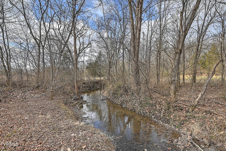 Photo #43: 1096 Old Elizabethton Highway