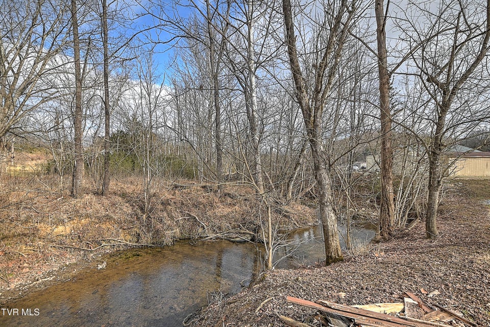 Photo #44: 1096 Old Elizabethton Highway