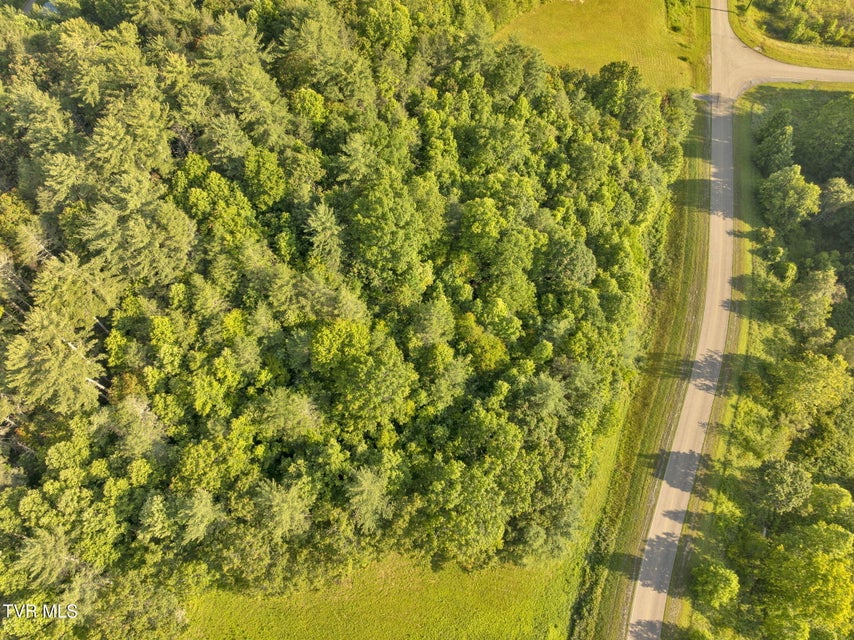 Photo #11: Tbd Clear Branch Road