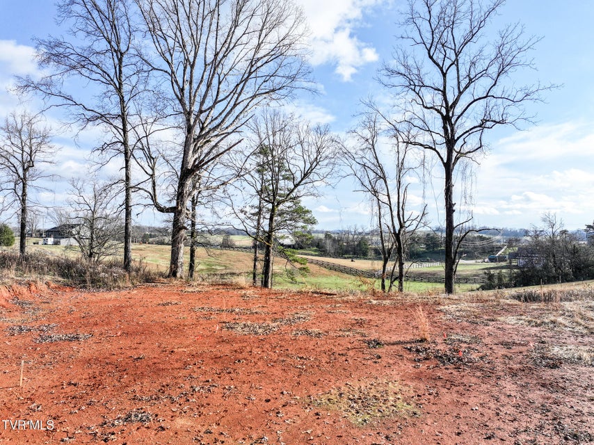 Photo #16: 1739 Redwing Lane