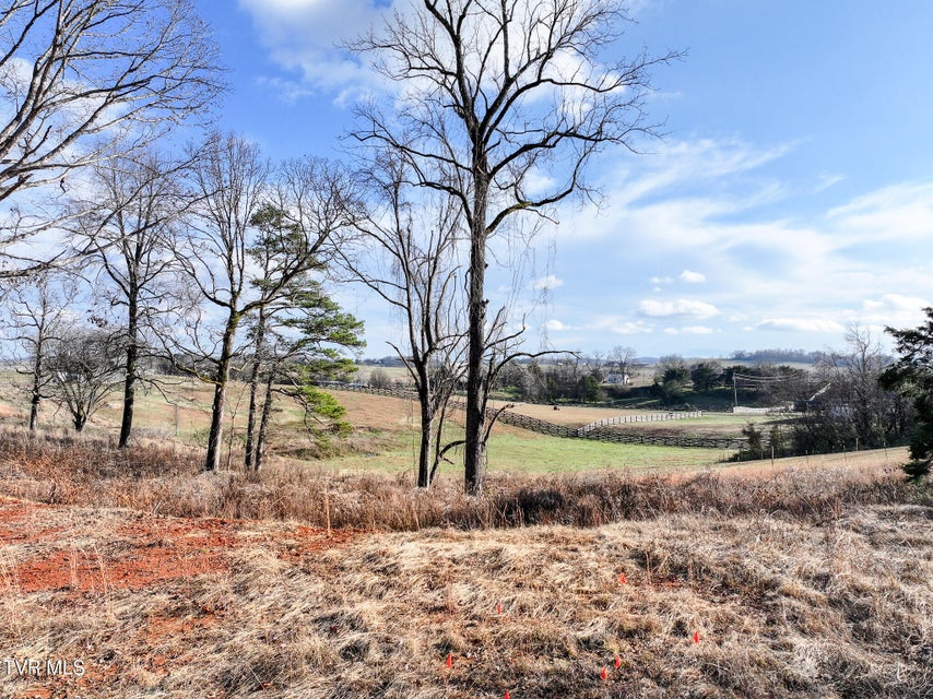 Photo #17: 1739 Redwing Lane