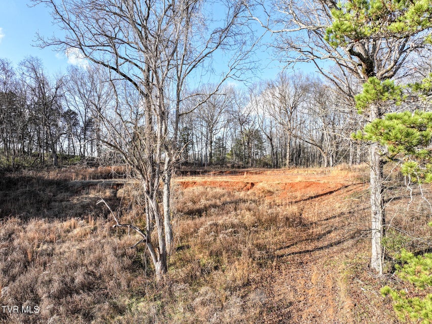 Photo #24: 1739 Redwing Lane