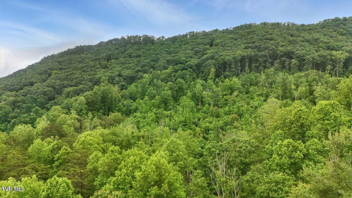 Photo #9: 5065 Tahoe Trail