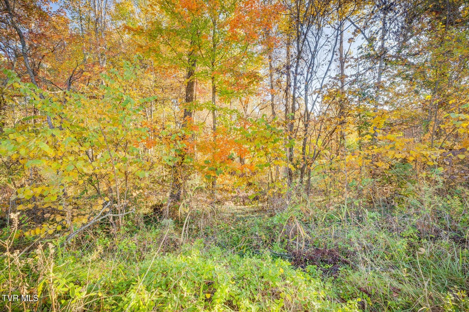 Photo #4: Tbd Old Jonesborough Road