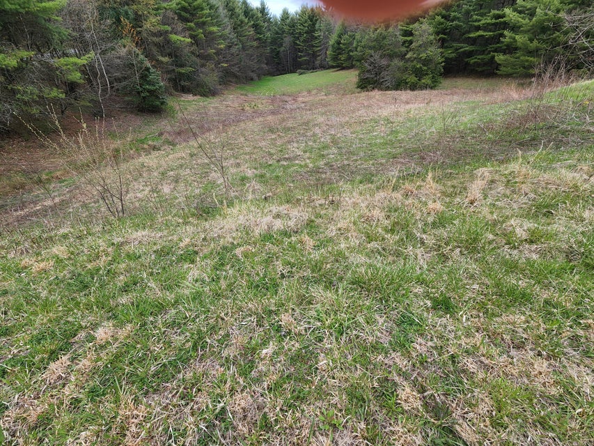 Photo #2: Tbd Lot 30 Laurel Way