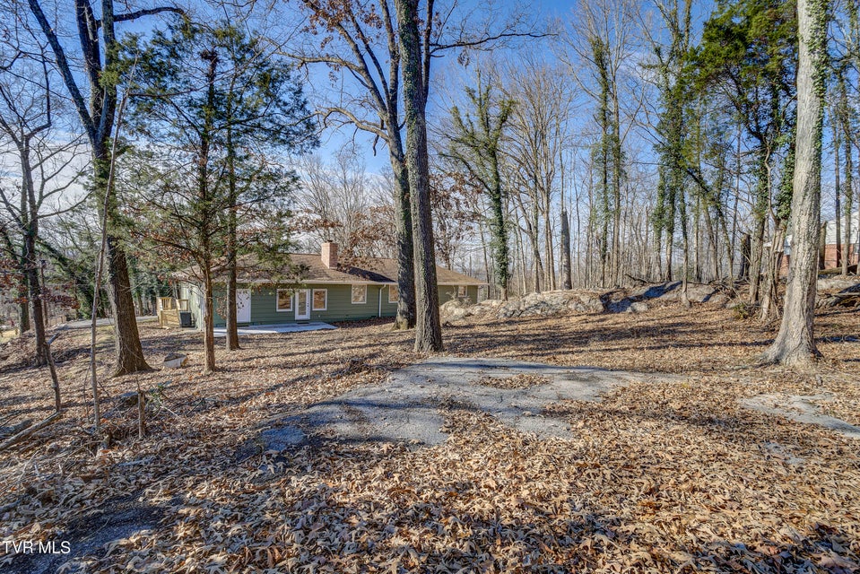 Photo #52: 4407 Mitchell Road