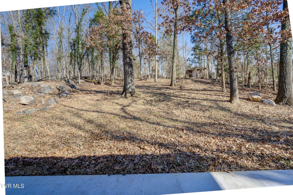 Photo #55: 4407 Mitchell Road