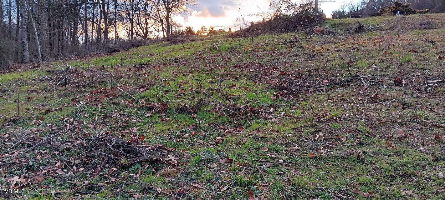 Photo #4: Tbd Boring Chapel Road