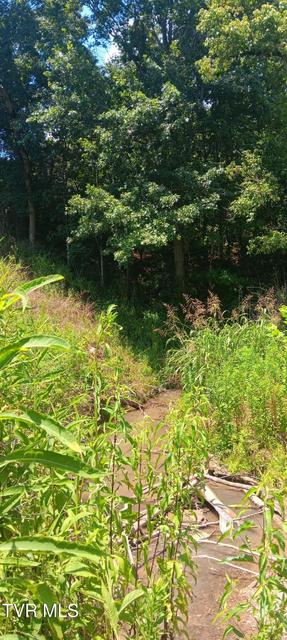 Photo #7: Tbd Boring Chapel Road