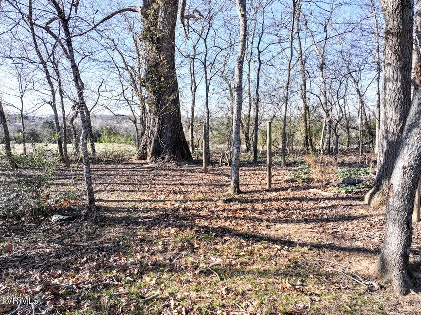 Photo #8: 32 Capri Drive