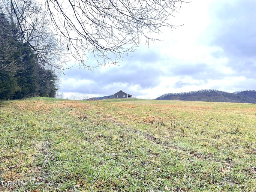 Photo #19: 222 Locke Road