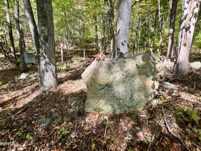 Photo #61: 1393 Caney Valley Loop