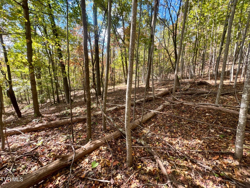 Photo #62: 1393 Caney Valley Loop