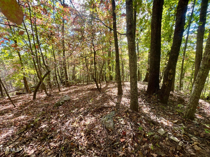 Photo #63: 1393 Caney Valley Loop