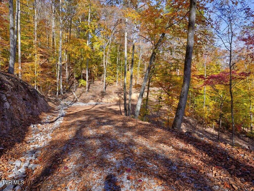 Photo #49: 164 Paradise Point