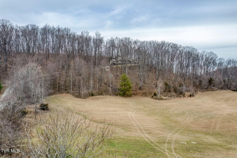 Photo #79: 520 Highway 93 