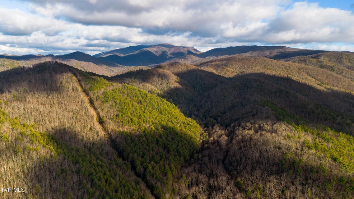 Photo #6: 109 Triangle B Drive