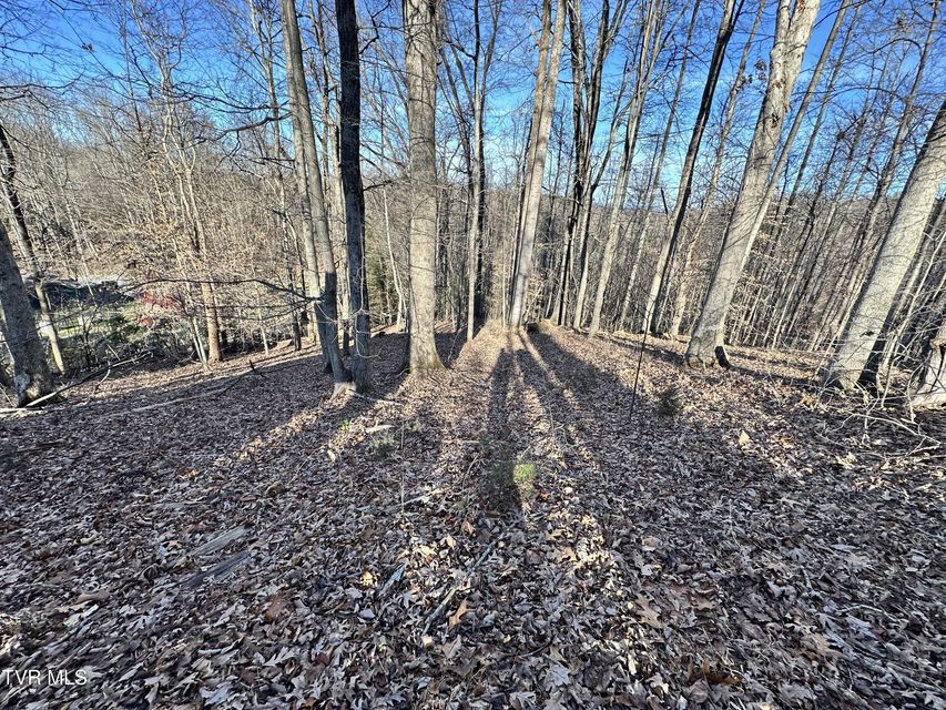 Photo #7: 125 Locust Winds Drive