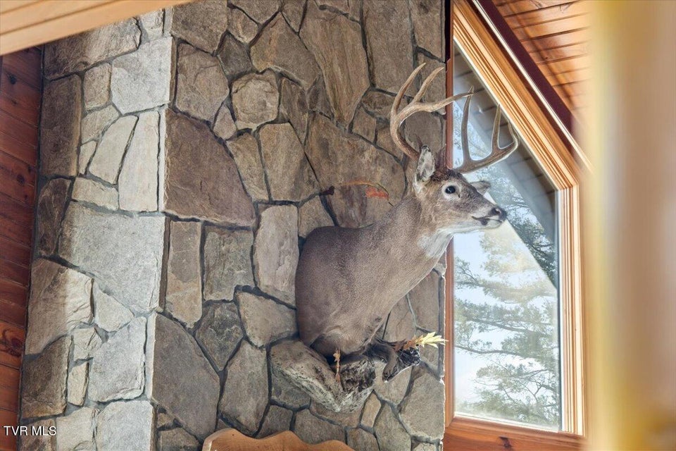 Photo #11: 620 Swift Hollow Lane