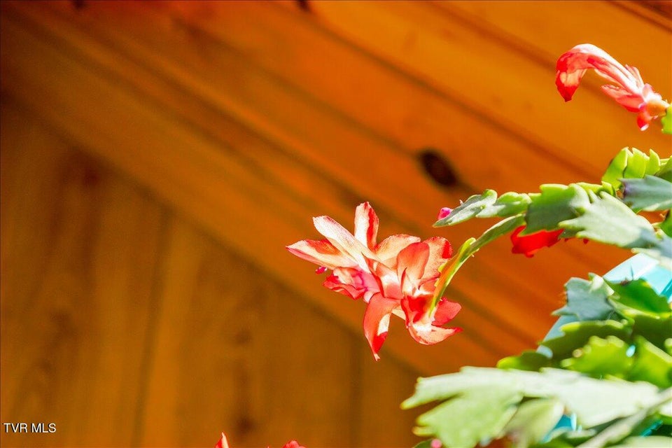 Photo #20: 620 Swift Hollow Lane