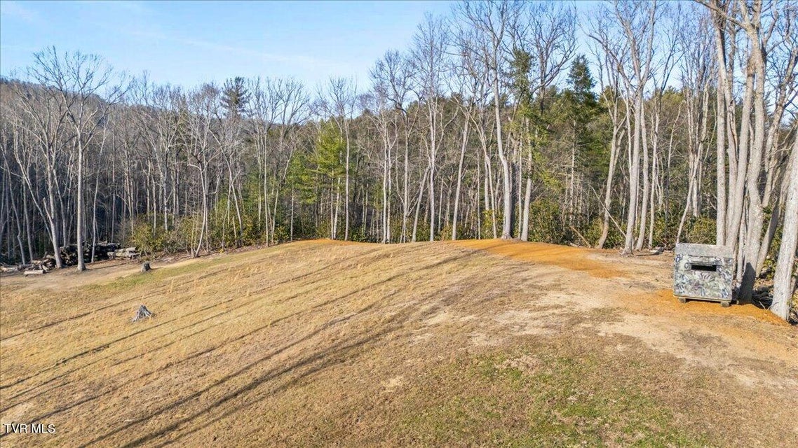 Photo #93: 620 Swift Hollow Lane