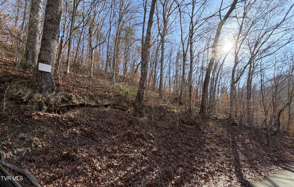 Photo #2: 5.97 Avondale Hollow Road