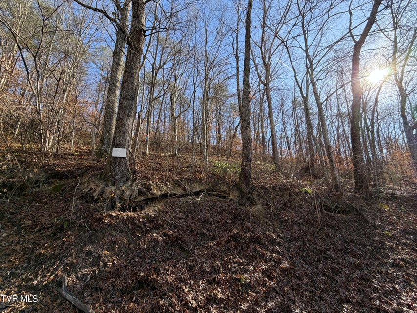 Photo #4: 5.97 Avondale Hollow Road