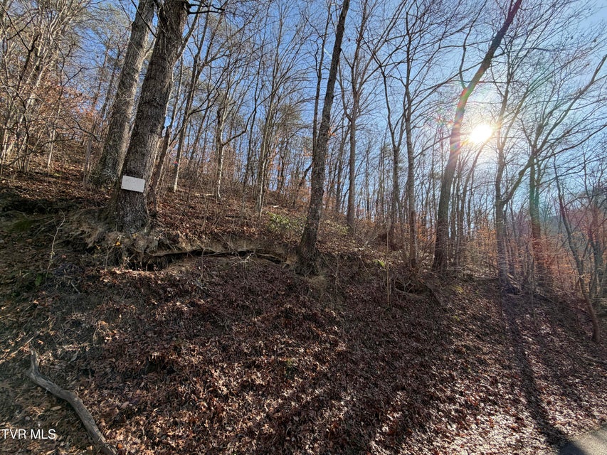 Photo #3: 5.97 Avondale Hollow Road