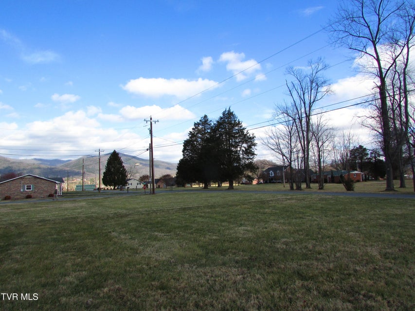 Photo #5: Tbd E L Bowers Road