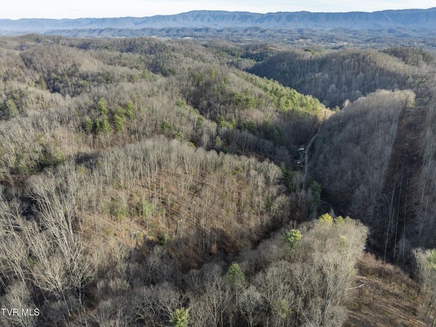 Photo #34: 352 Bear Hollow Road