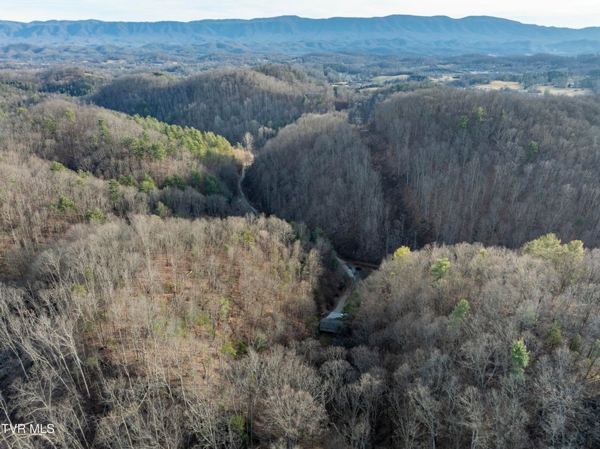 Photo #35: 352 Bear Hollow Road