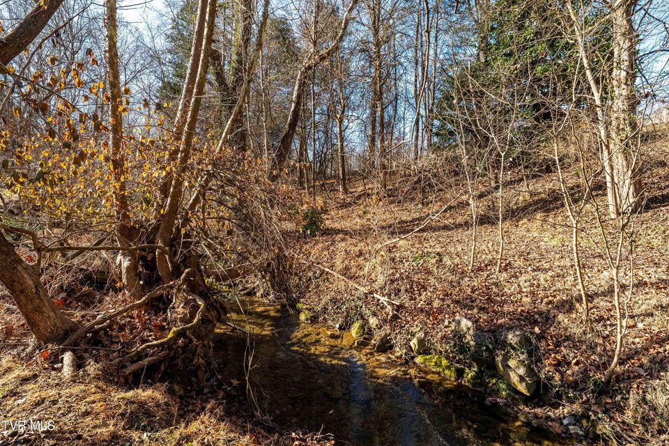 Photo #76: 220 Rock Springs Road