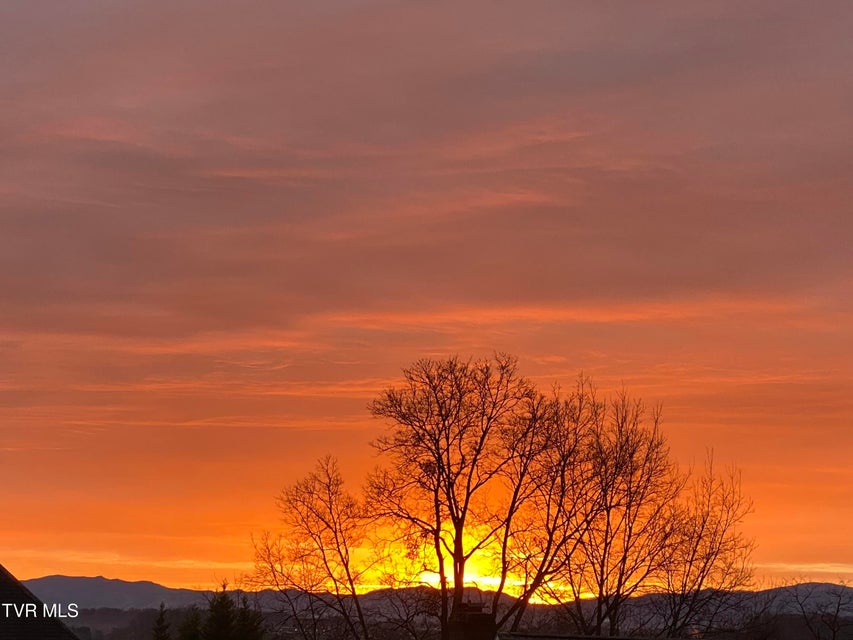 Photo #76: 2308 Granite Drive