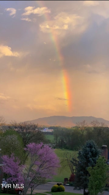 Photo #79: 2308 Granite Drive