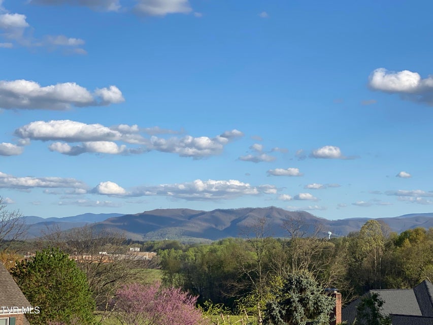 Photo #86: 2308 Granite Drive