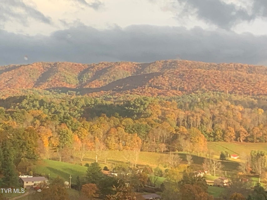 Photo #96: 620 Swift Hollow Lane